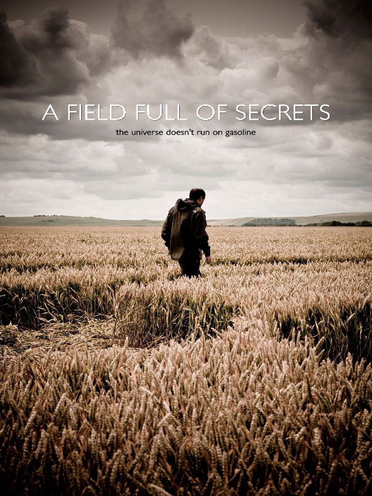 A Field Full of Secrets (2014)