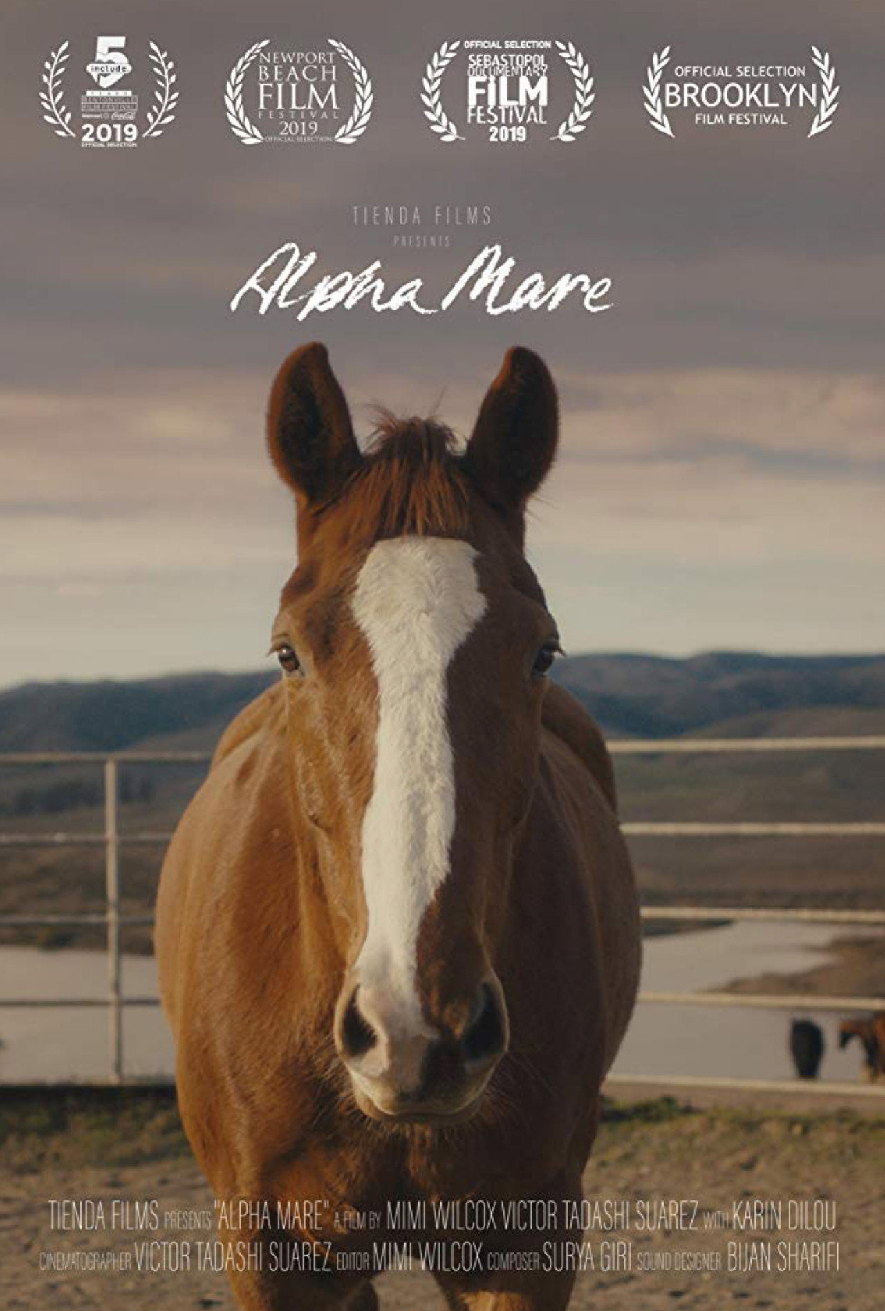 Alpha Mare filmaffisch