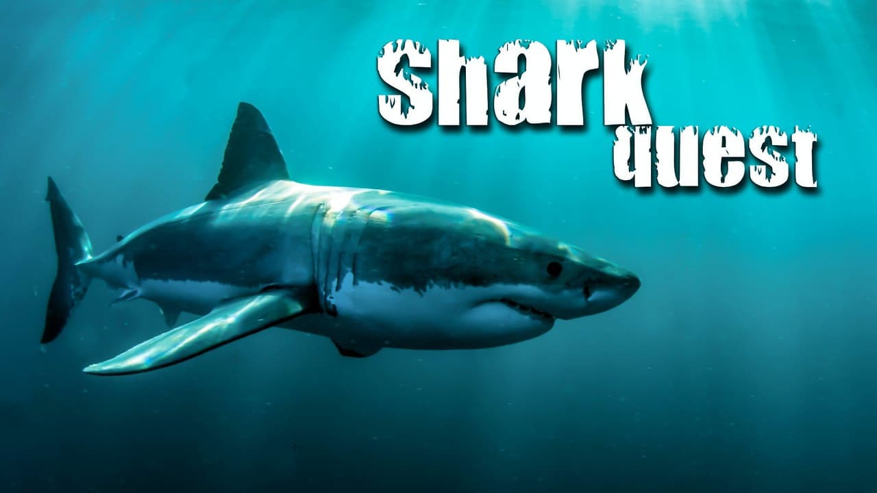 Shark Quest background