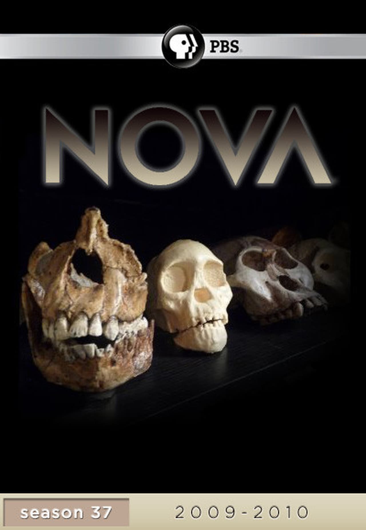 NOVA Season 37