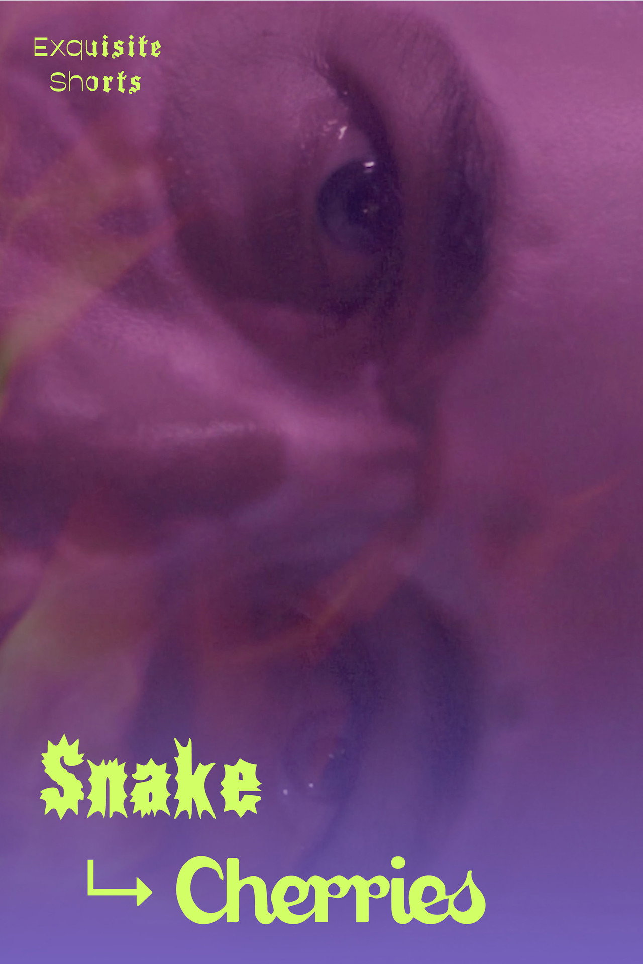 Snake to Cherries filmaffisch