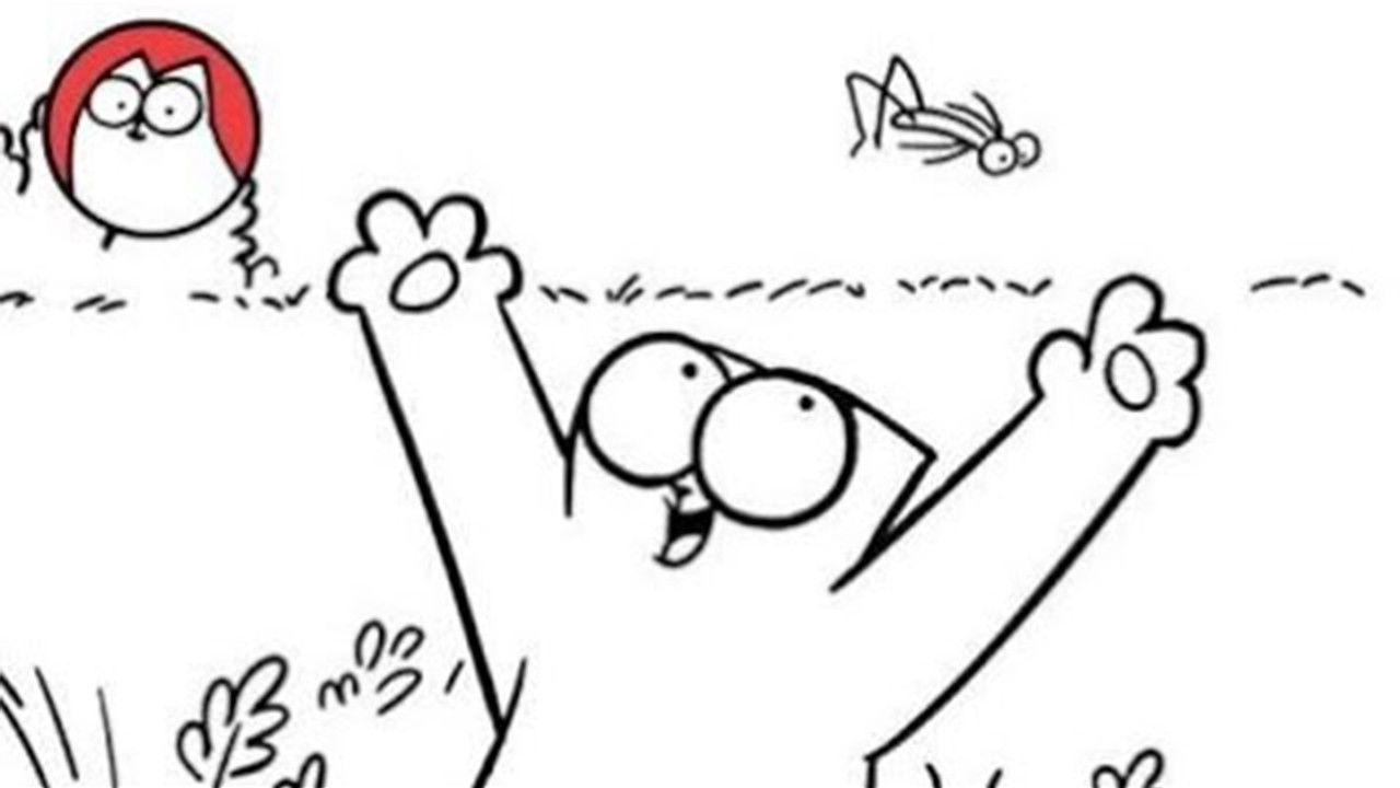 Simon's Cat — Field Trip