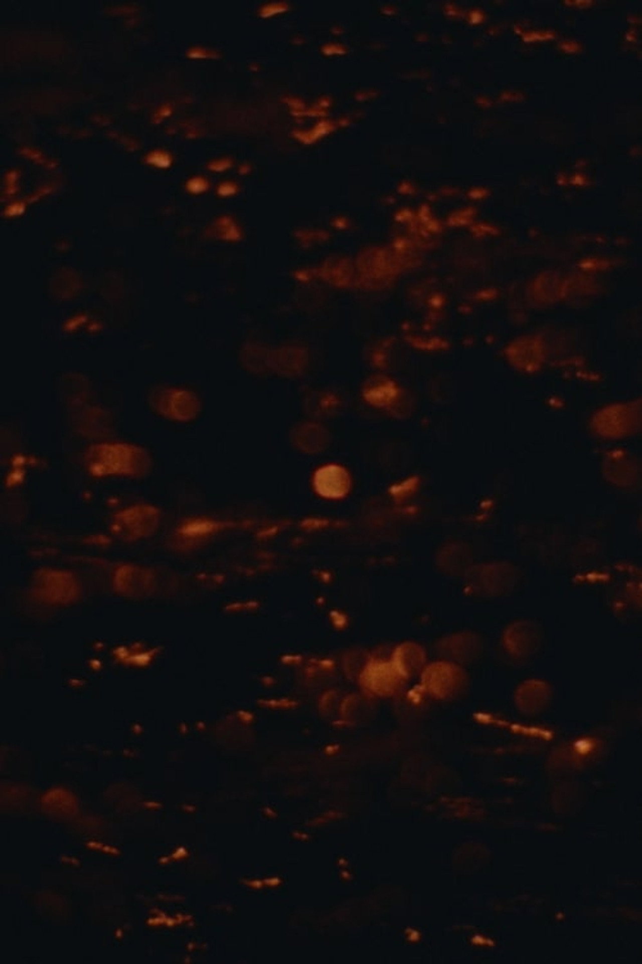 Moonglade filmaffisch