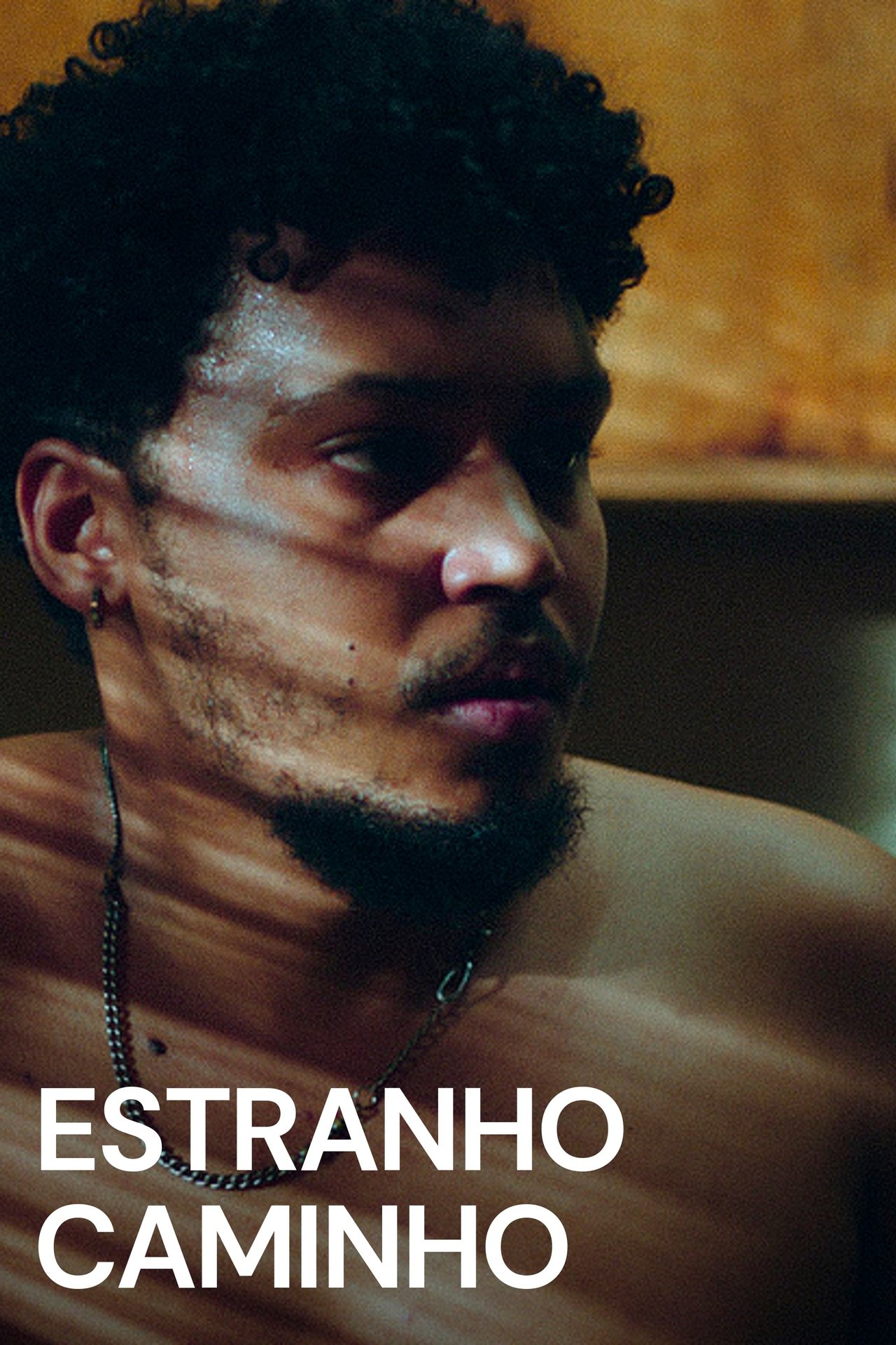 Estranho Caminho poster