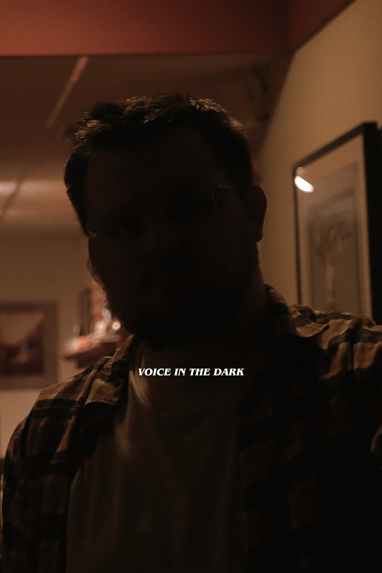 Voice in the Dark filmaffisch