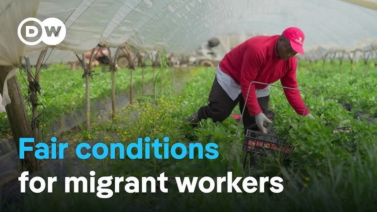 DW Documentary - Season 8 Episode 63 : The fight against exploitation of migrant workers in Italy