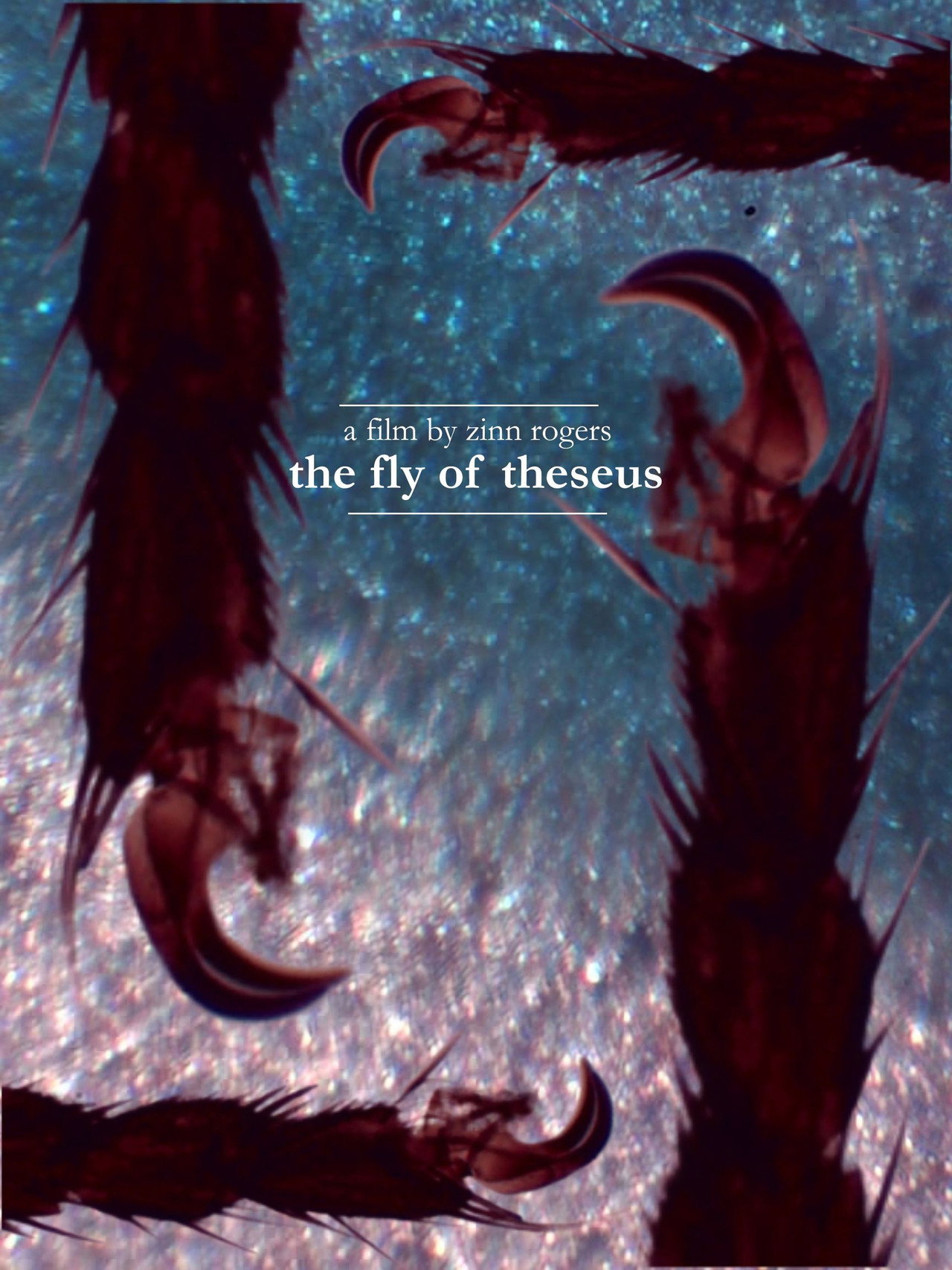 The Fly of Theseus filmaffisch