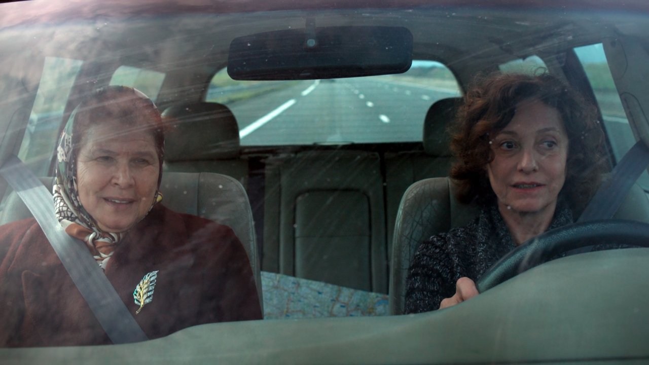 Two Birds, One Stone (2016)