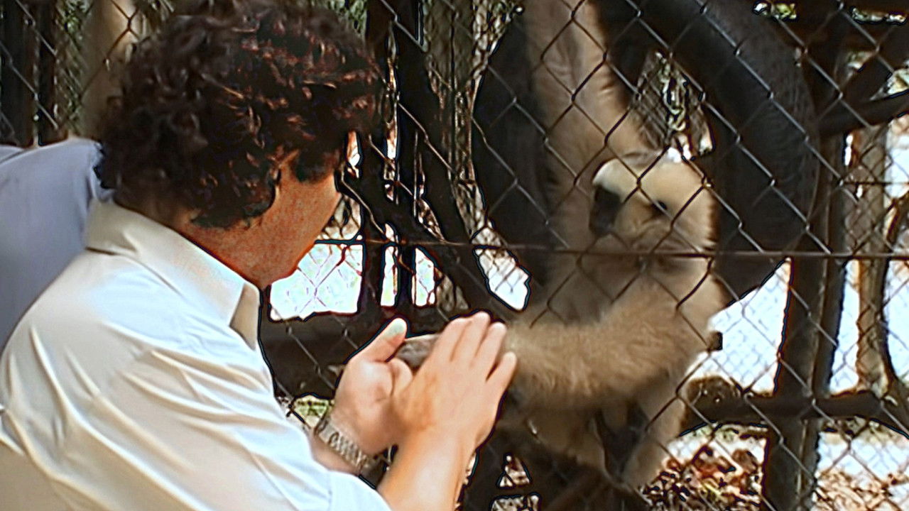 Monkey Business — Épisode 5