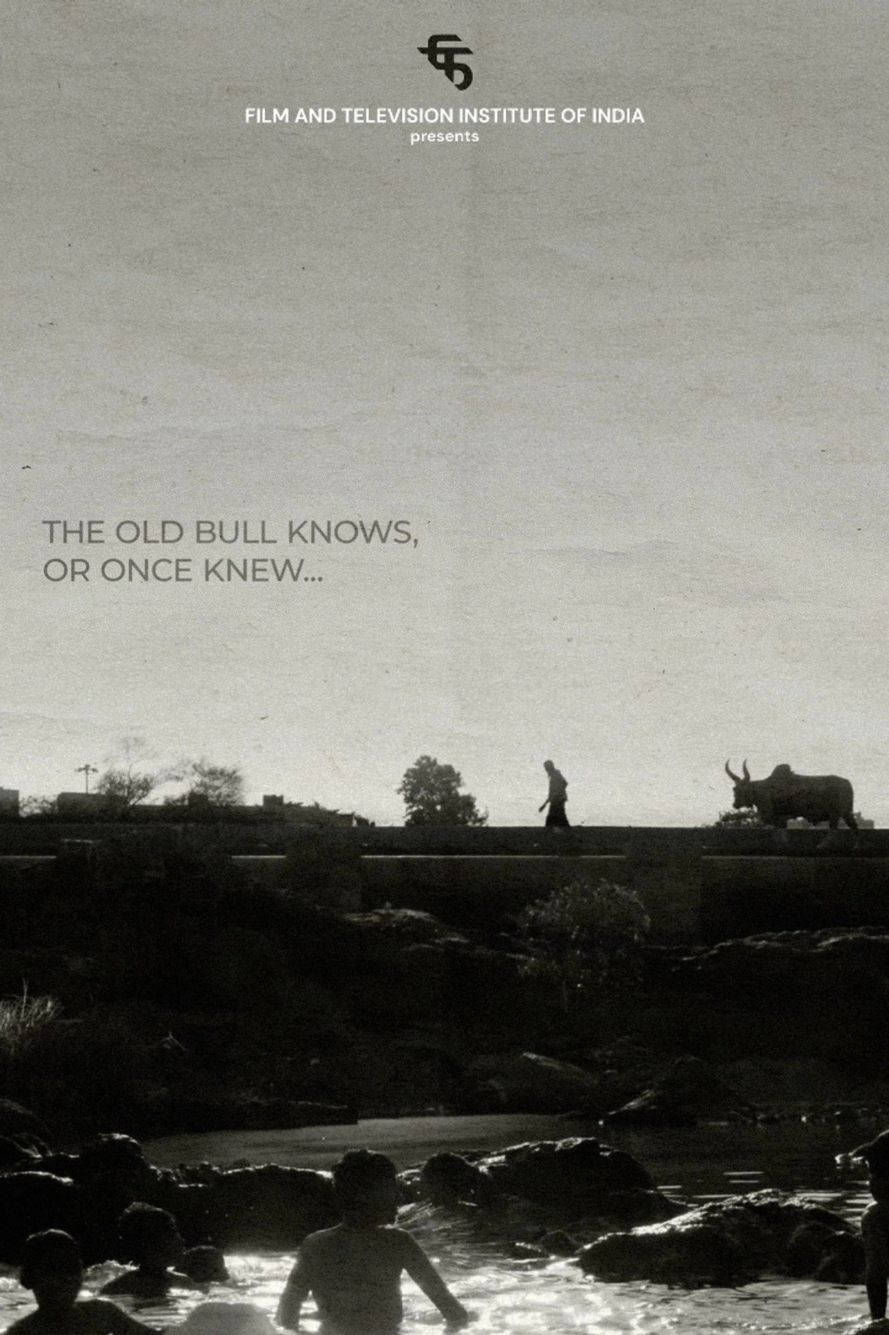 The Old Bull knows, or Once Knew