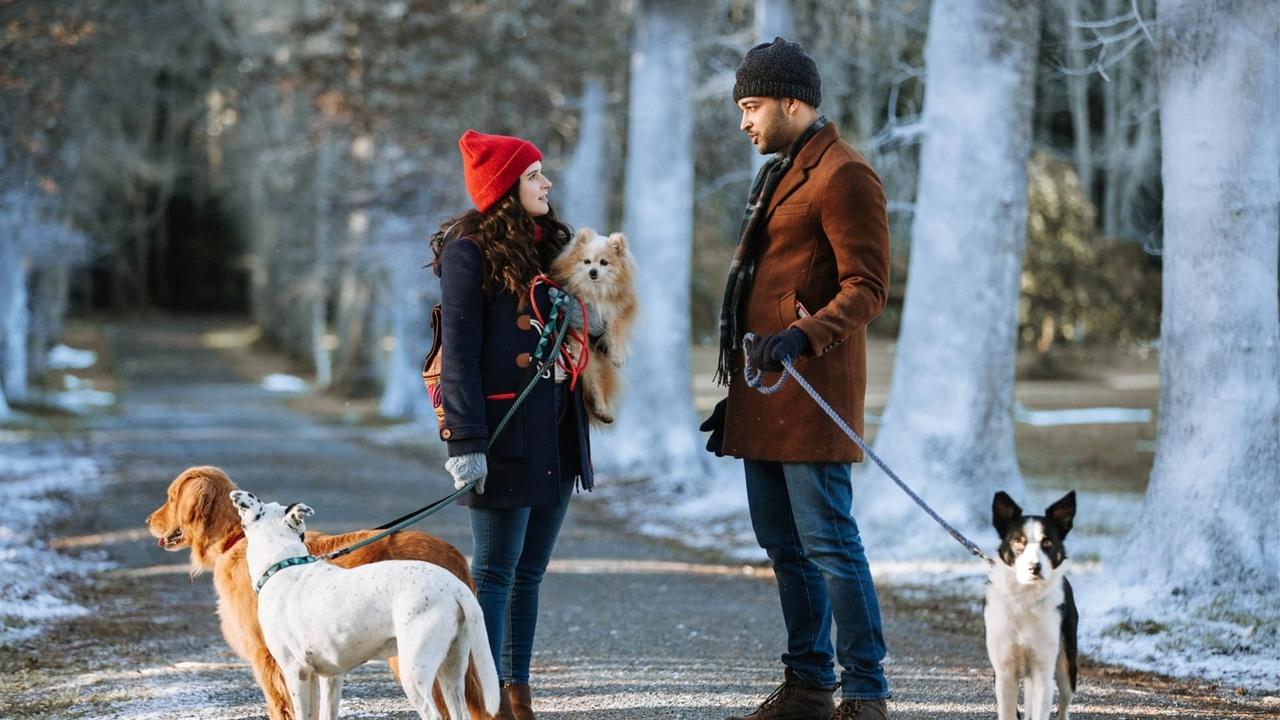 Scen från Puppy Love For Christmas