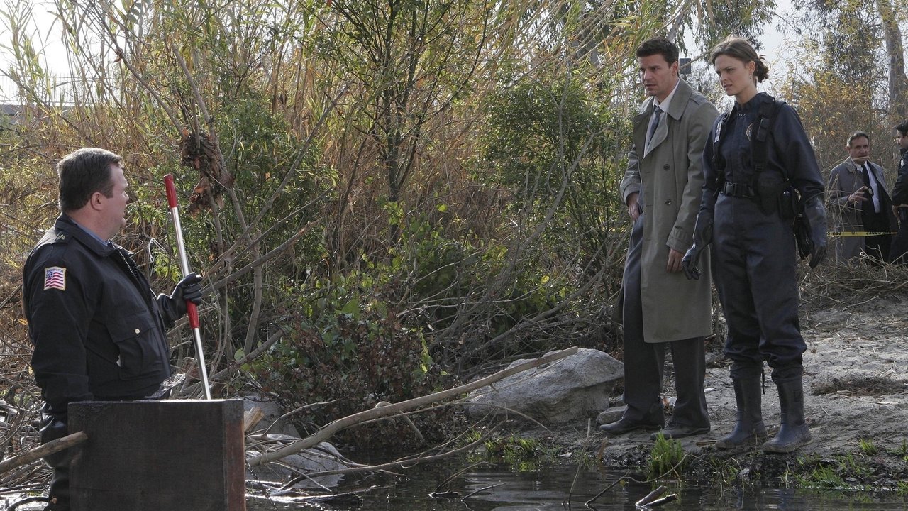 Bones - Season 2 Episode 16 : The Boneless Bride in the River