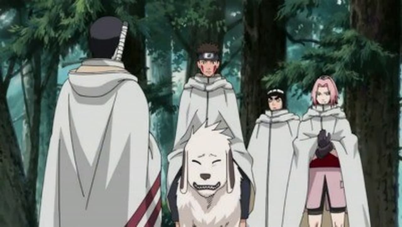 Naruto Shippūden - Season 10 Episode 212 : Sakura's Resolve