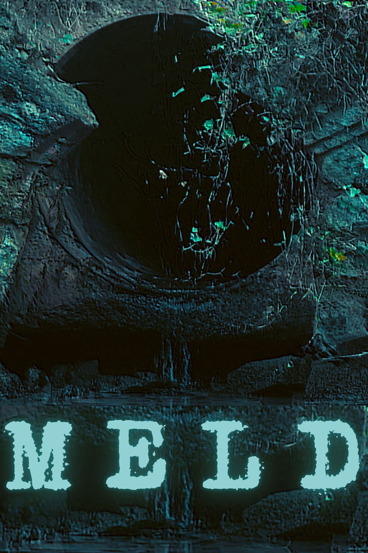 Meld filmaffisch