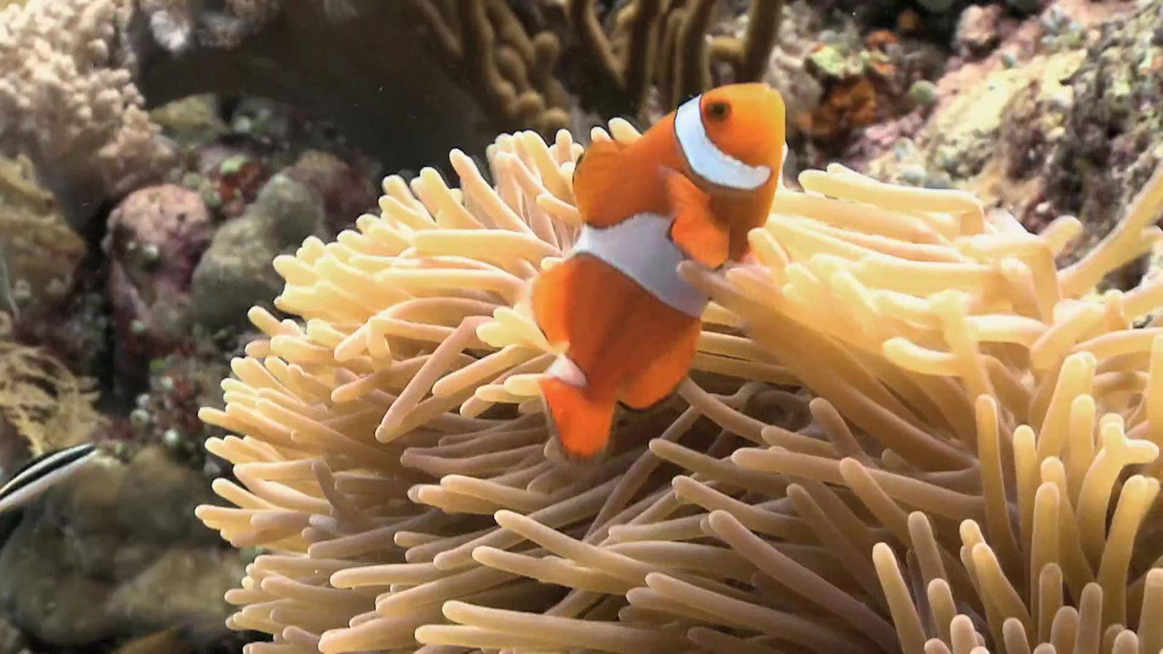 Wild Ones — Épisode 6