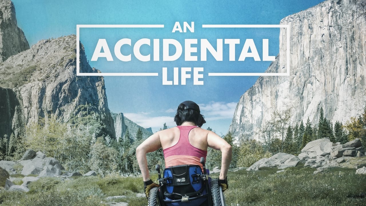 An Accidental Life background