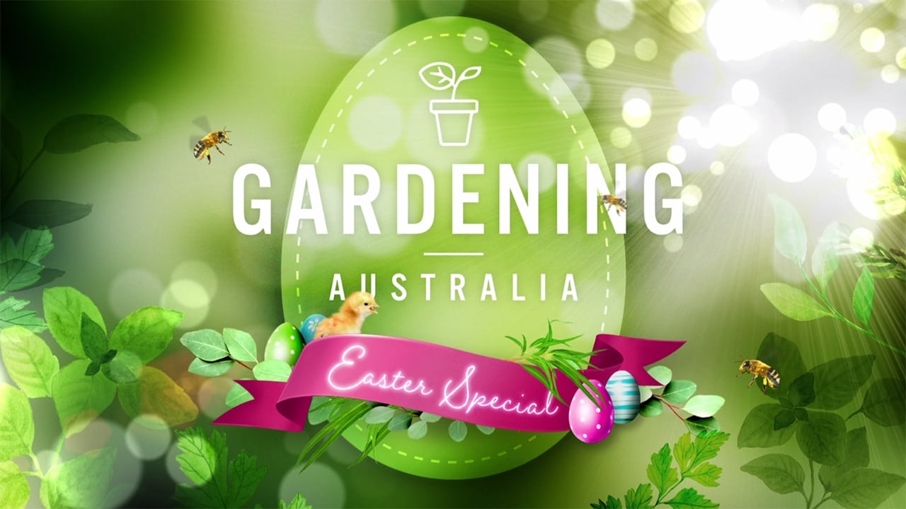 Gardening Australia - Season 31 Episode 10 : Episode 10 Easter Special
