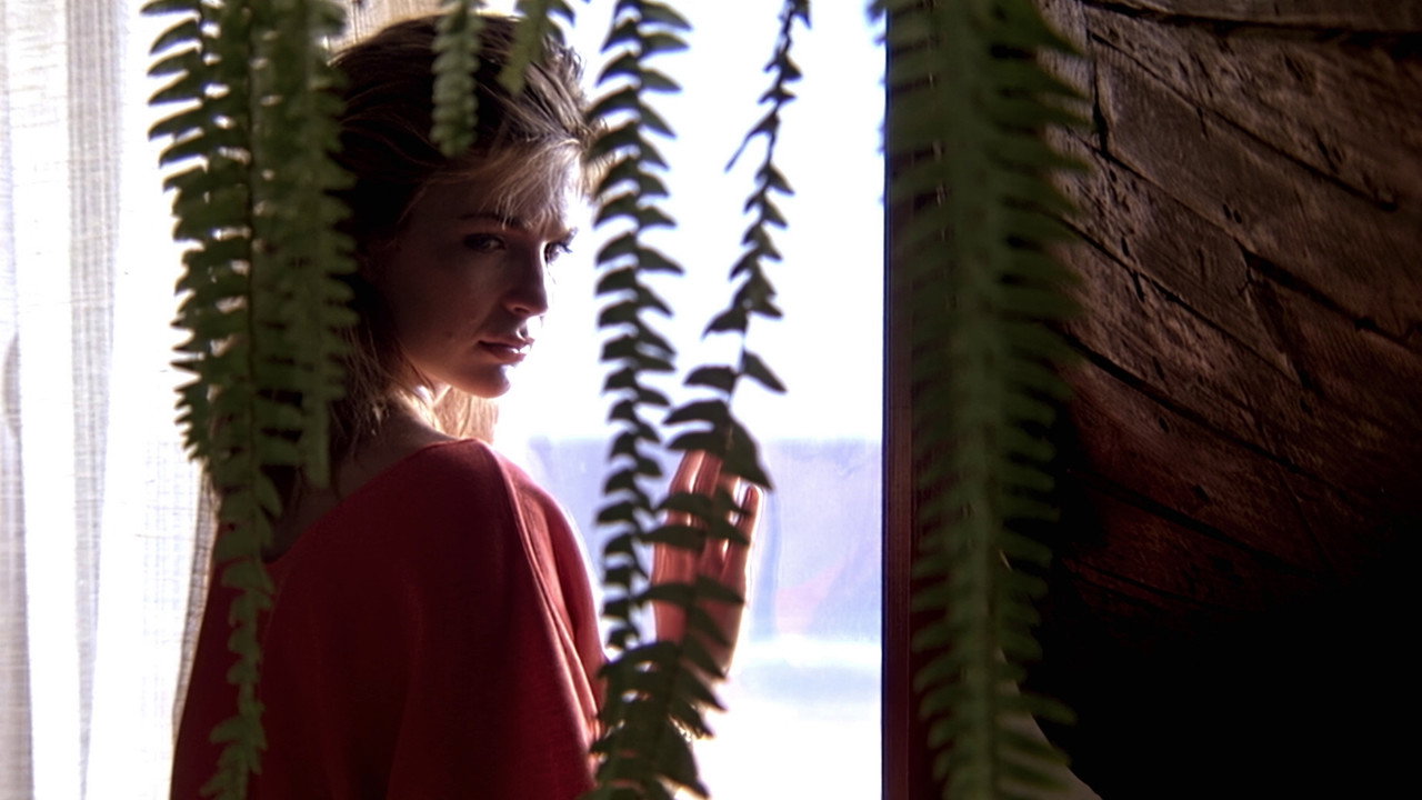 A Summer in Hell backdrop