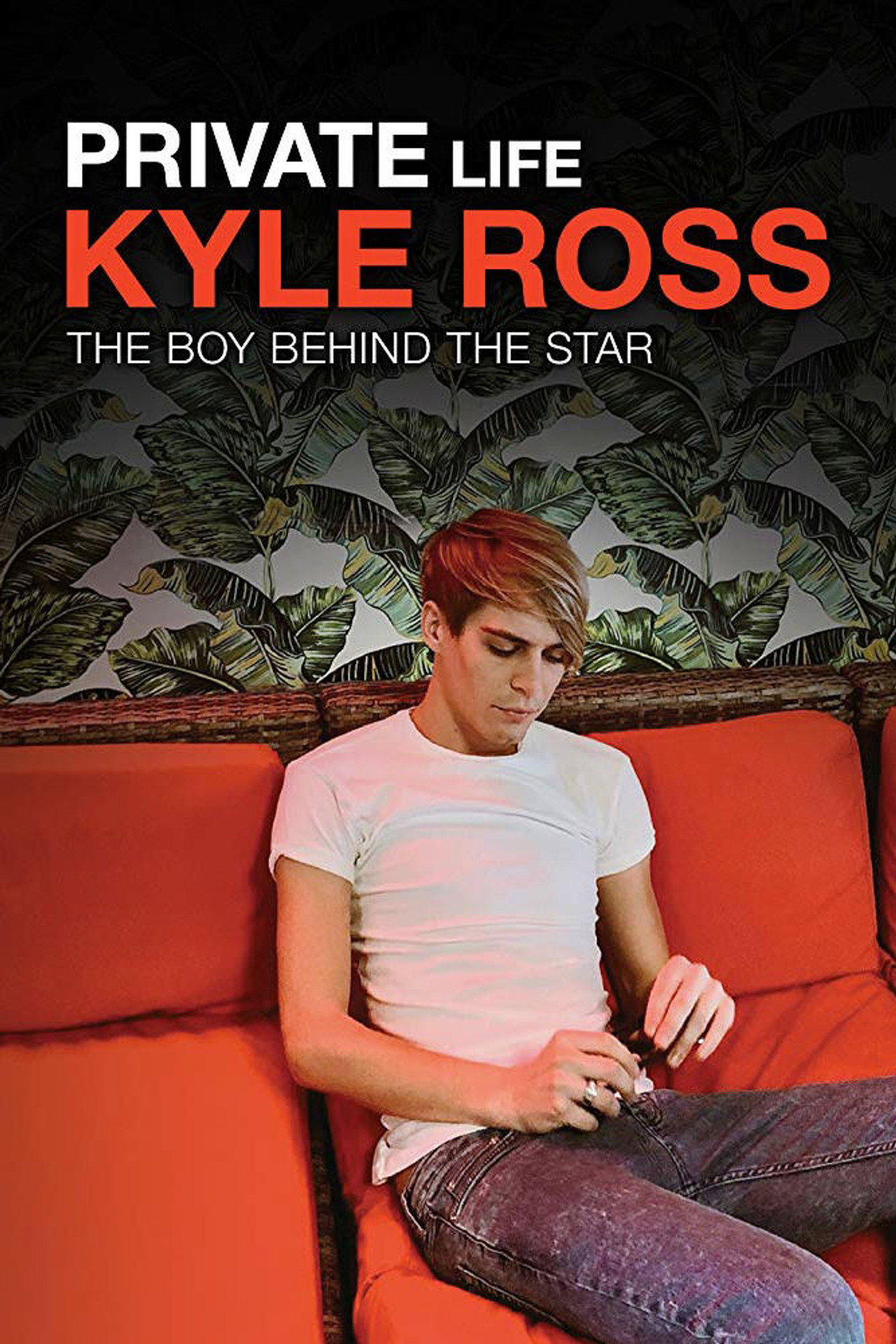 Private Life: Kyle Ross filmaffisch