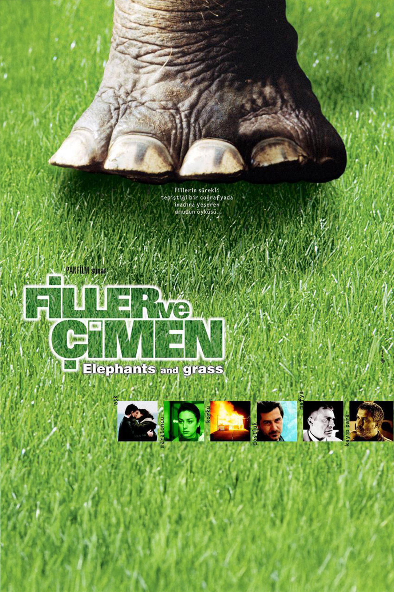 Filler ve Çimen filmaffisch