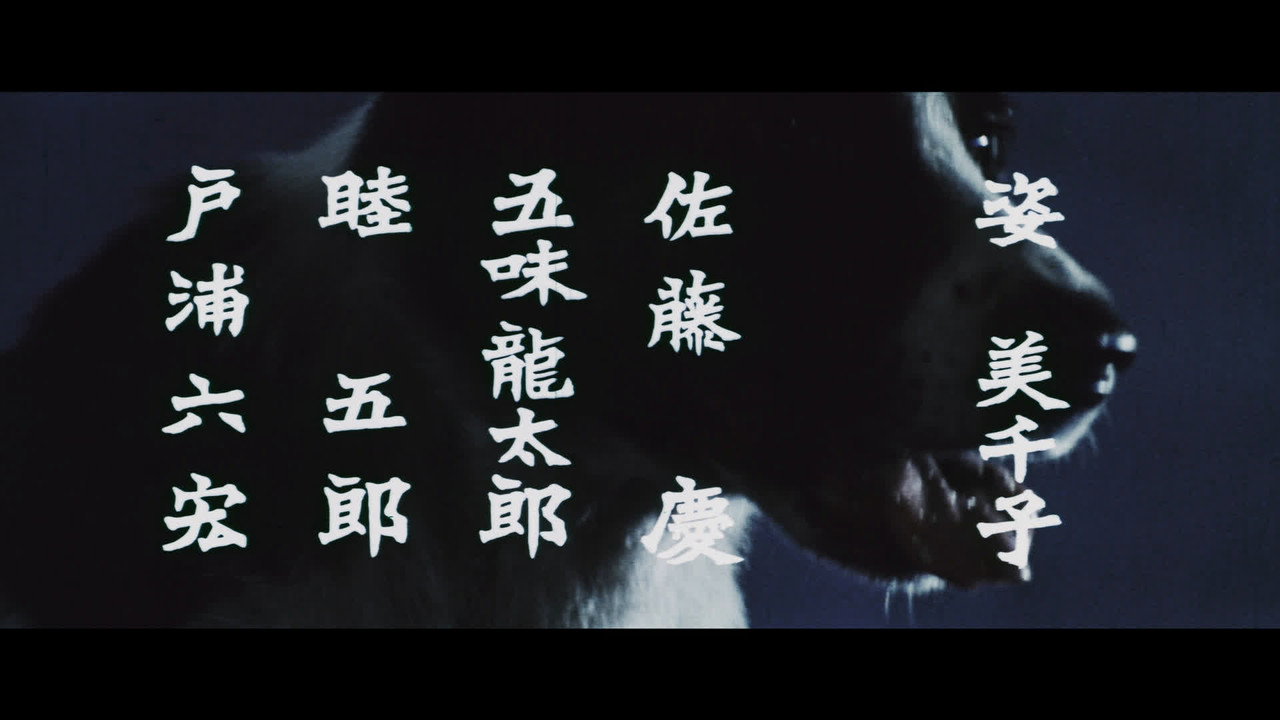 Fondo