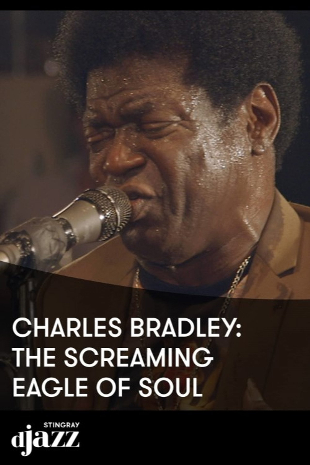 Charles Bradley The Screaming Eagle Of Soul - 2014 filmaffisch