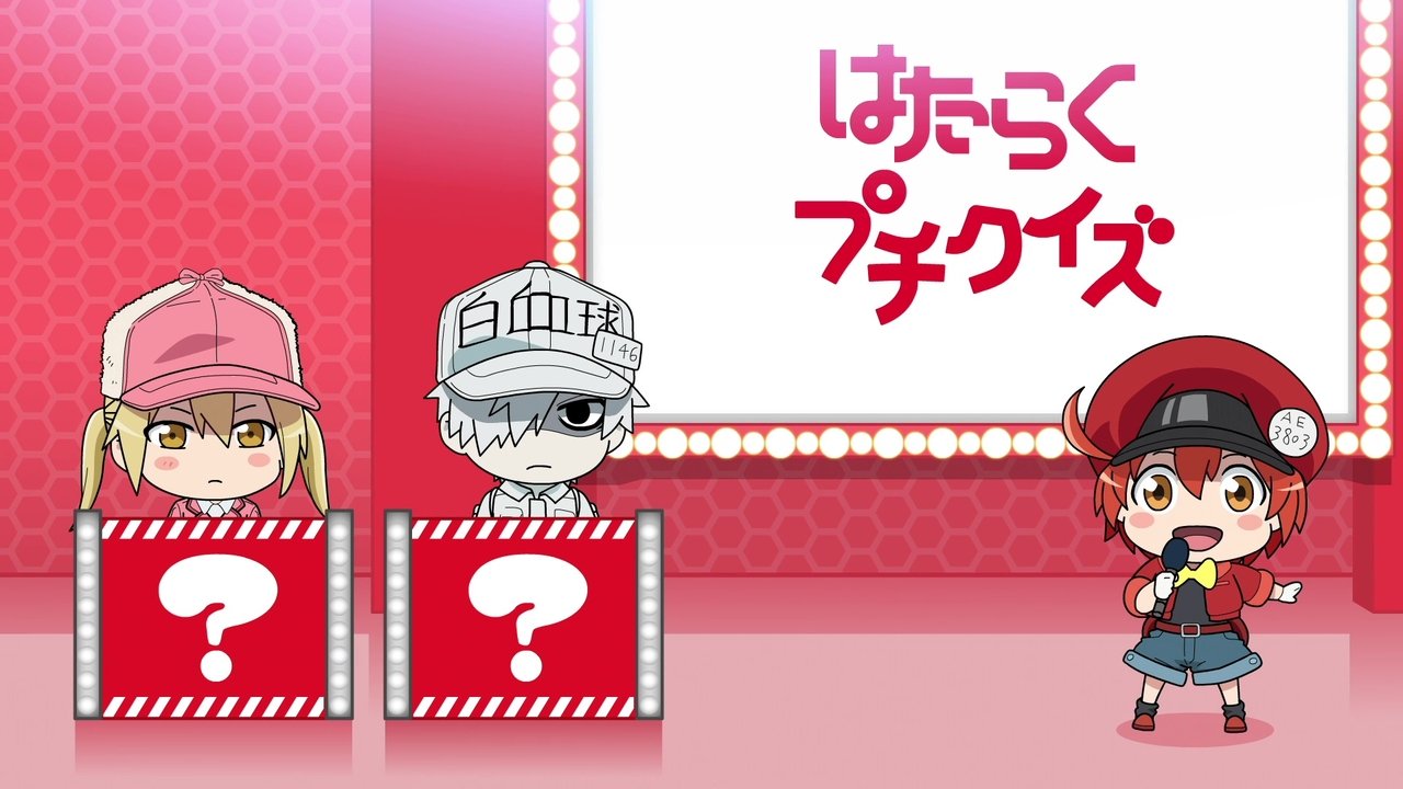 Cells at Work! - Season 0 Episode 2 : Special 1 - Petit Quiz
