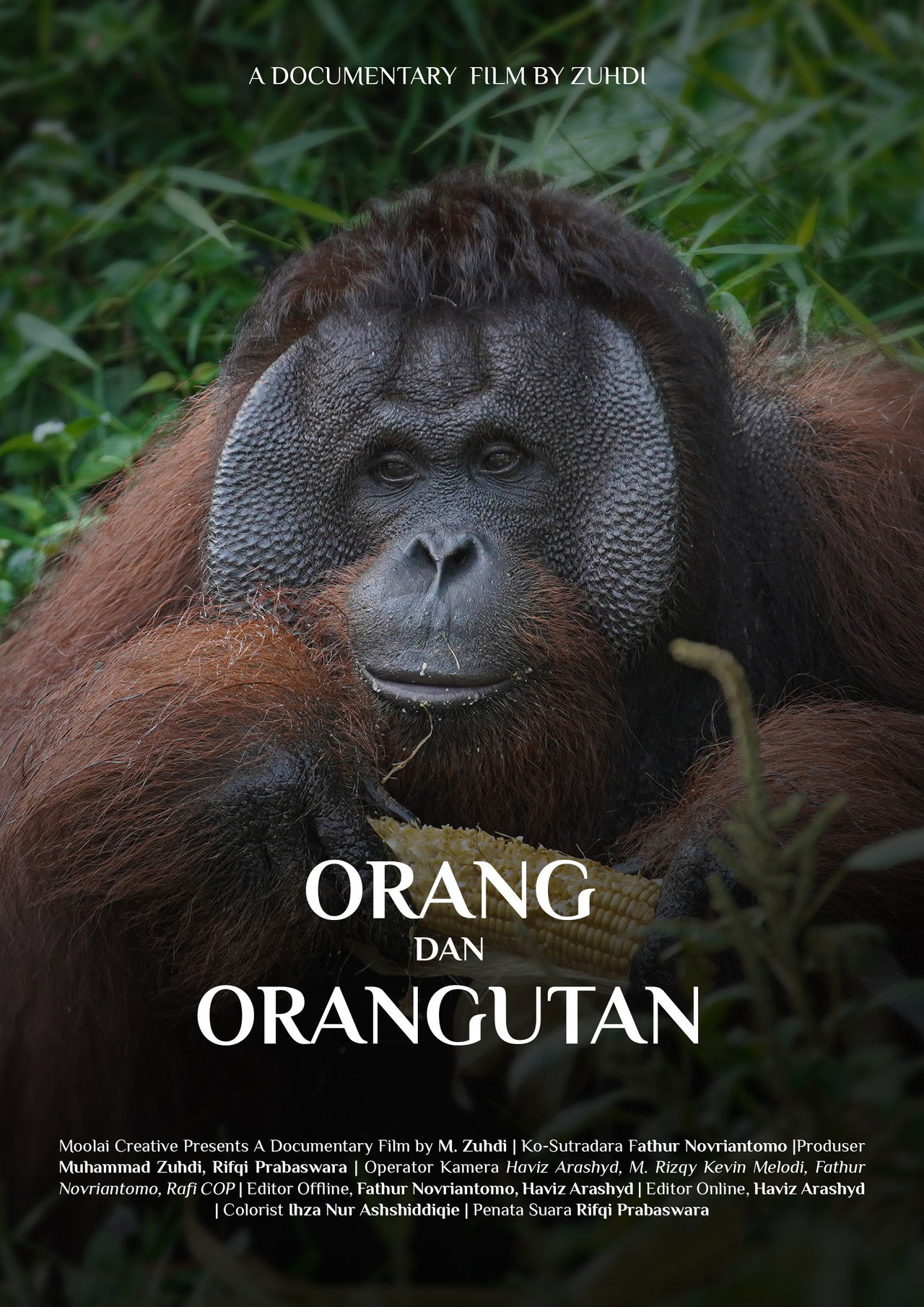 Orang & Orang Utan Backdrop