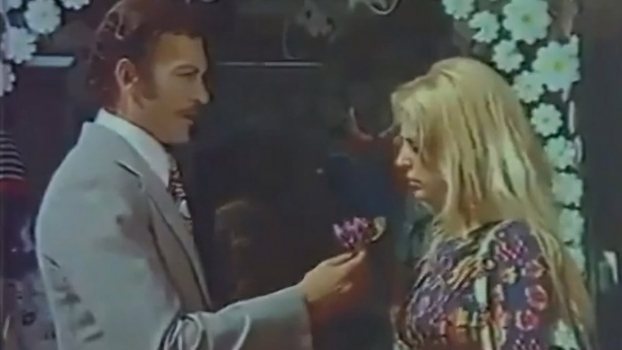 Bir Demet Menekşe
