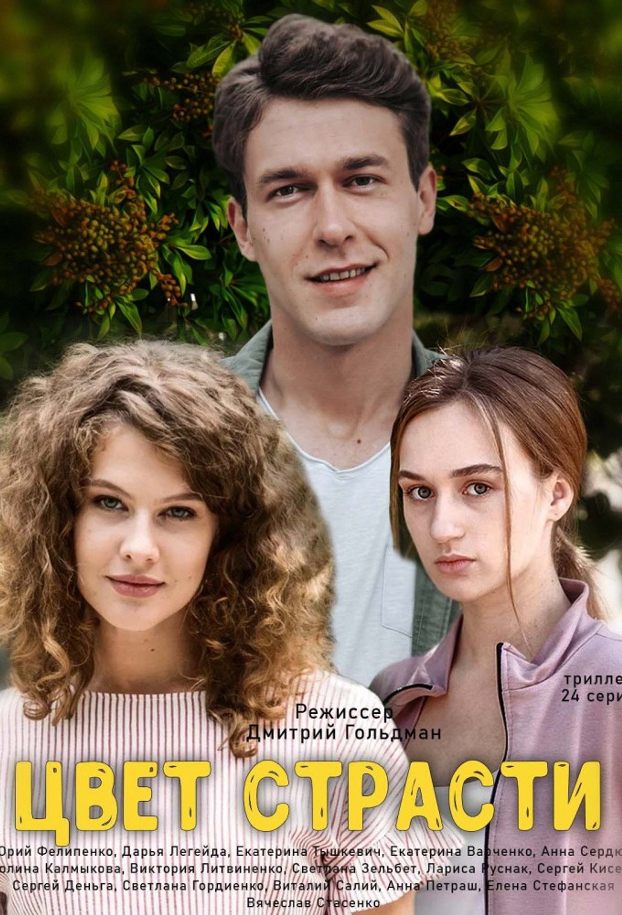 The Color of Passion poster