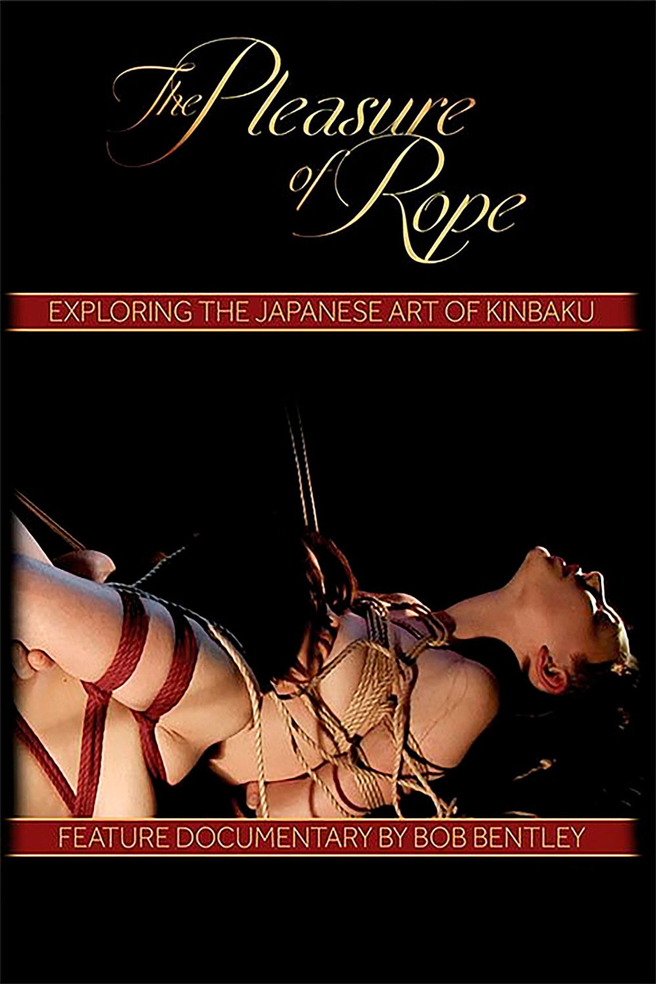 The Pleasure of Rope Backdrop