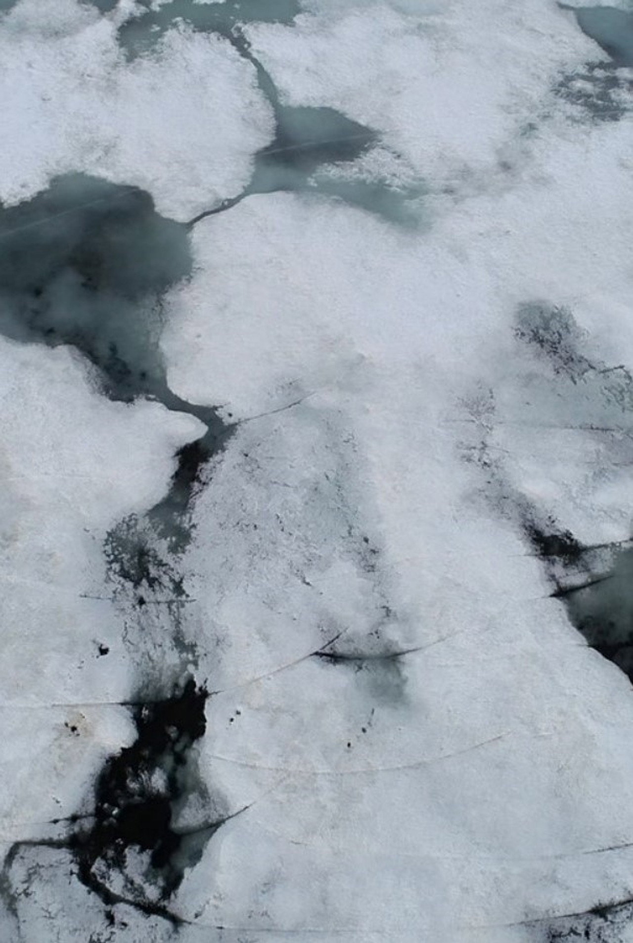 The Great Thaw filmaffisch
