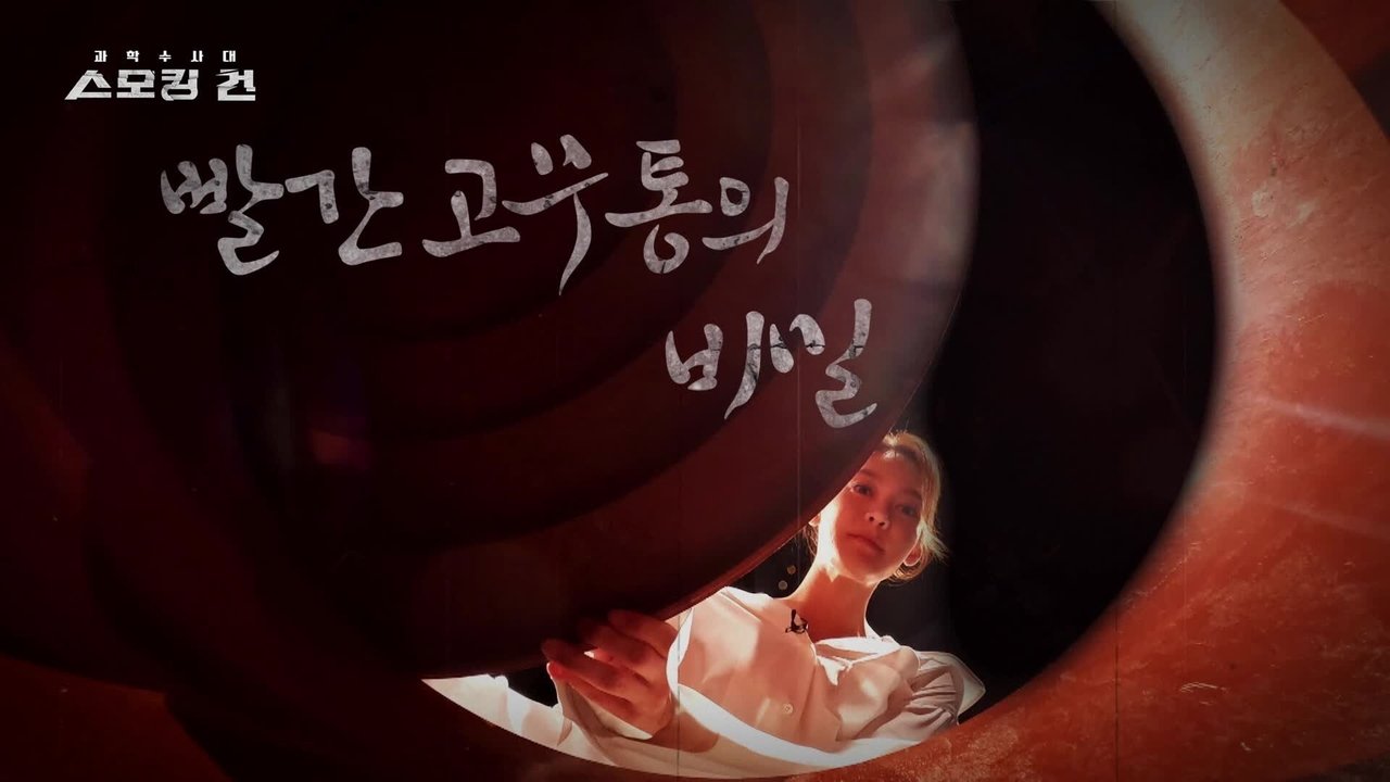 과학수사대 스모킹 건 - Season 1 Episode 24 : Episode 24