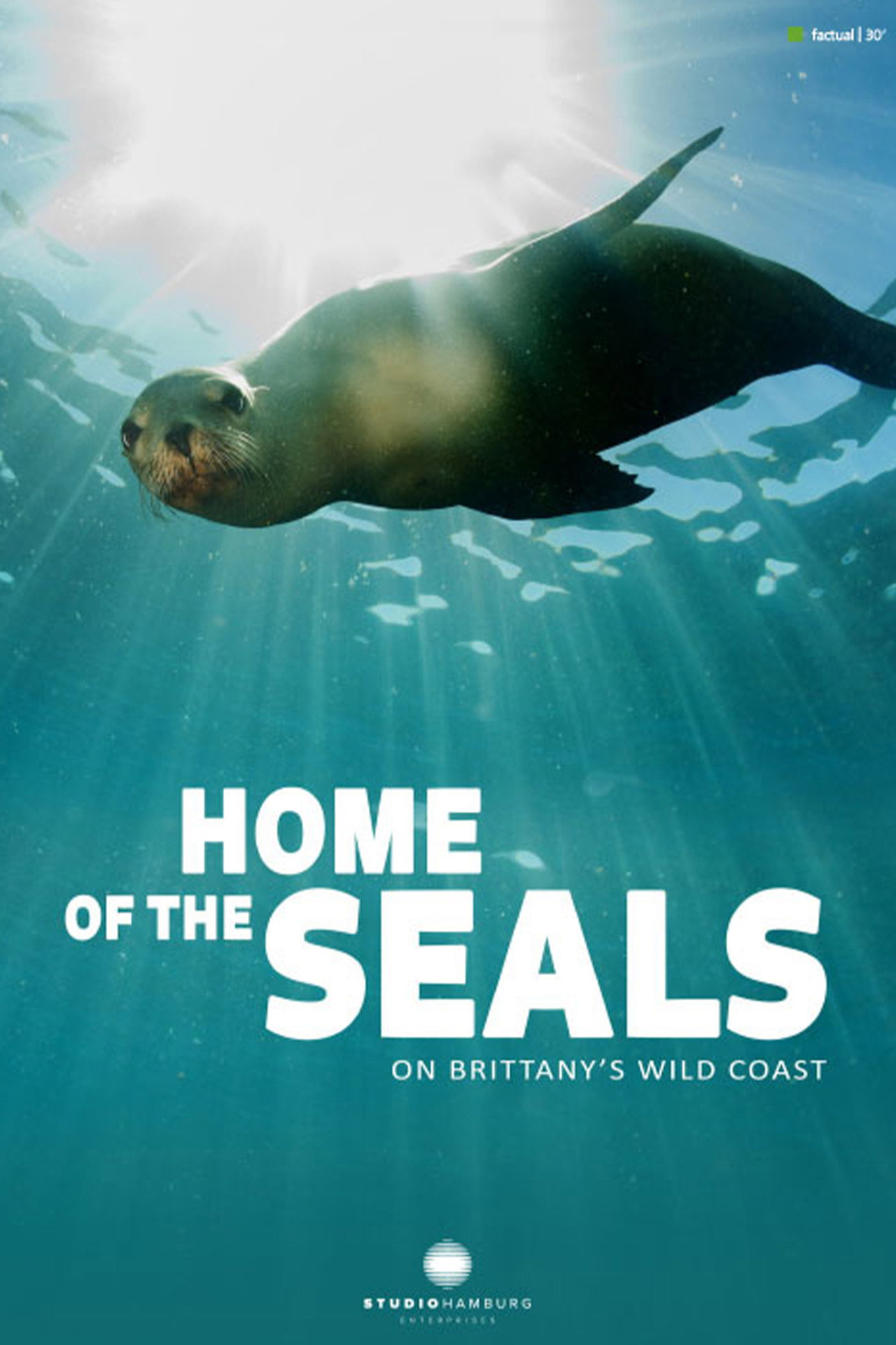 Home of the seals: On Brittanny's wild coast filmaffisch