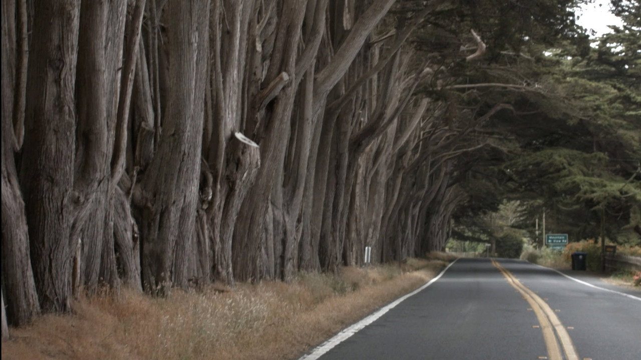 Hwy 1