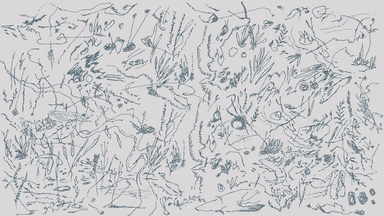 World Within