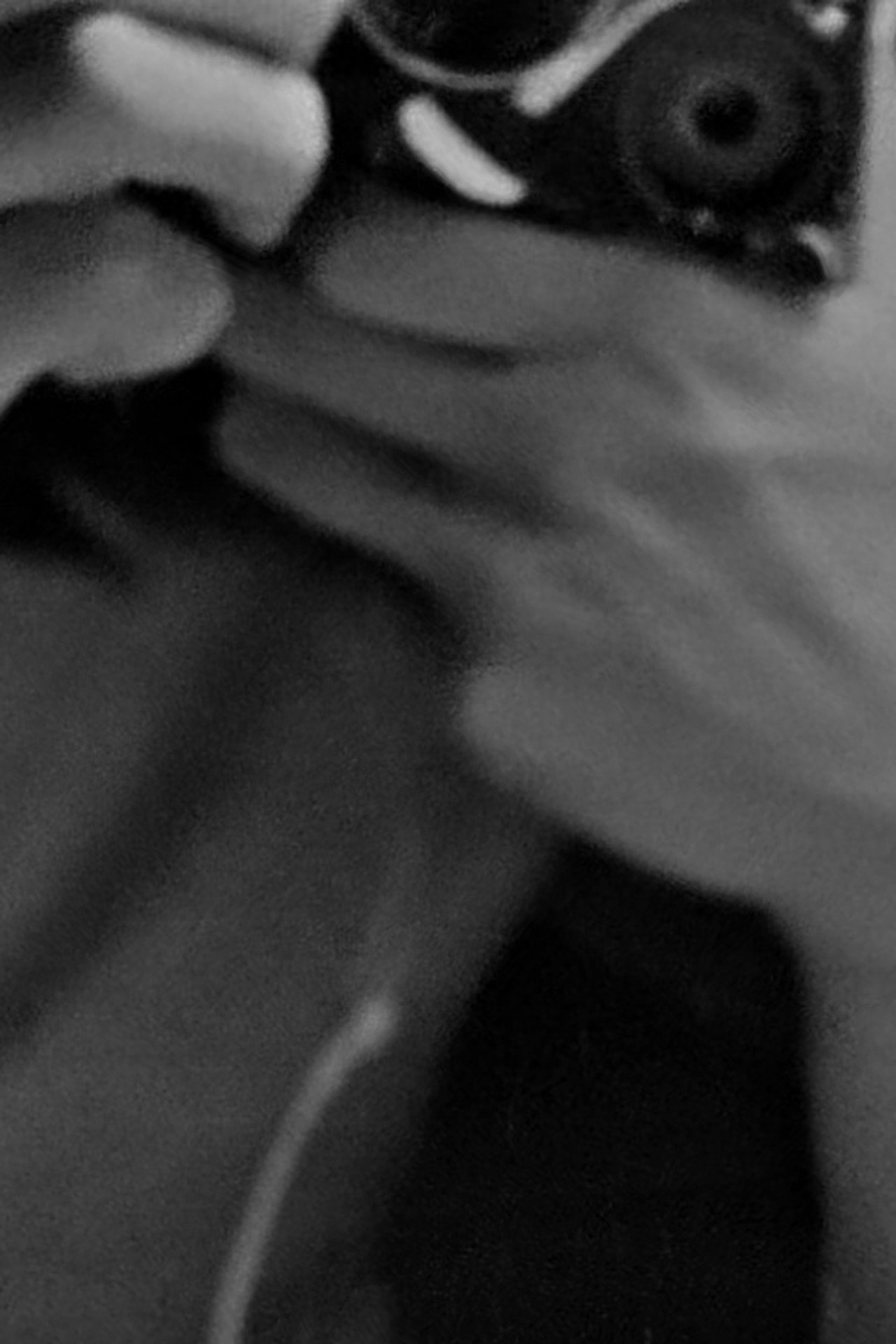 First Draft filmaffisch