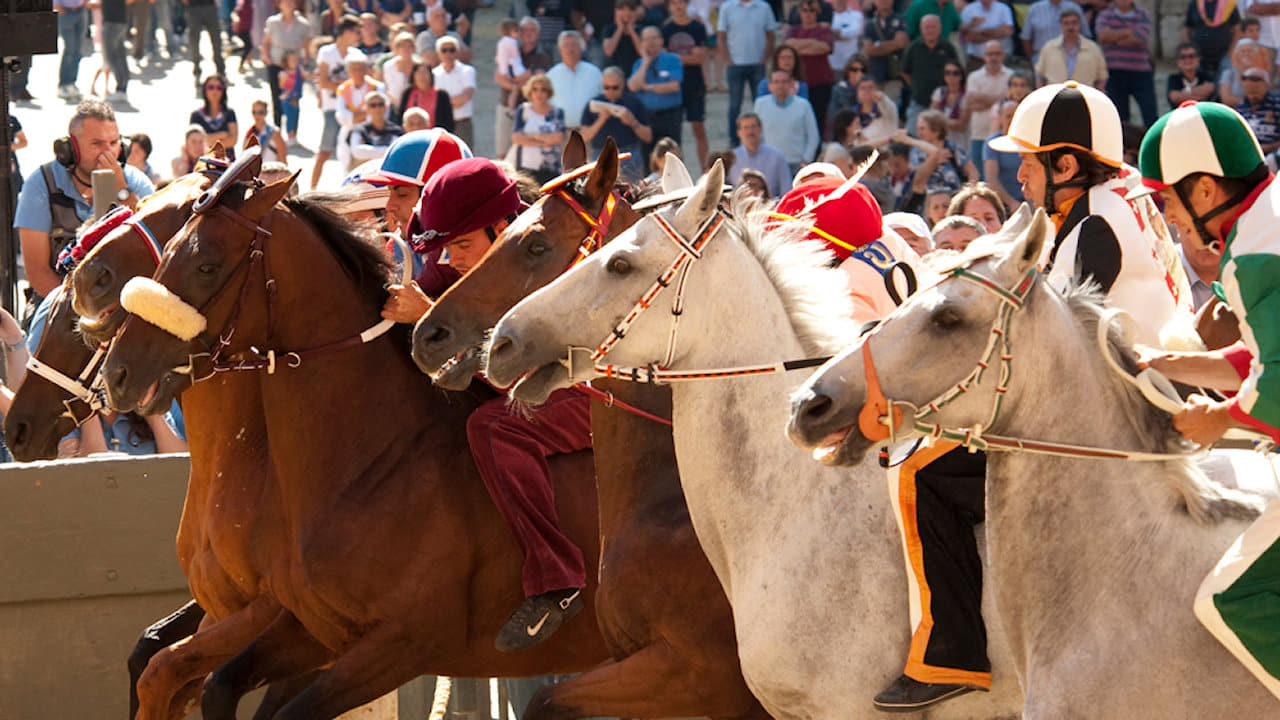 Scen från Palio