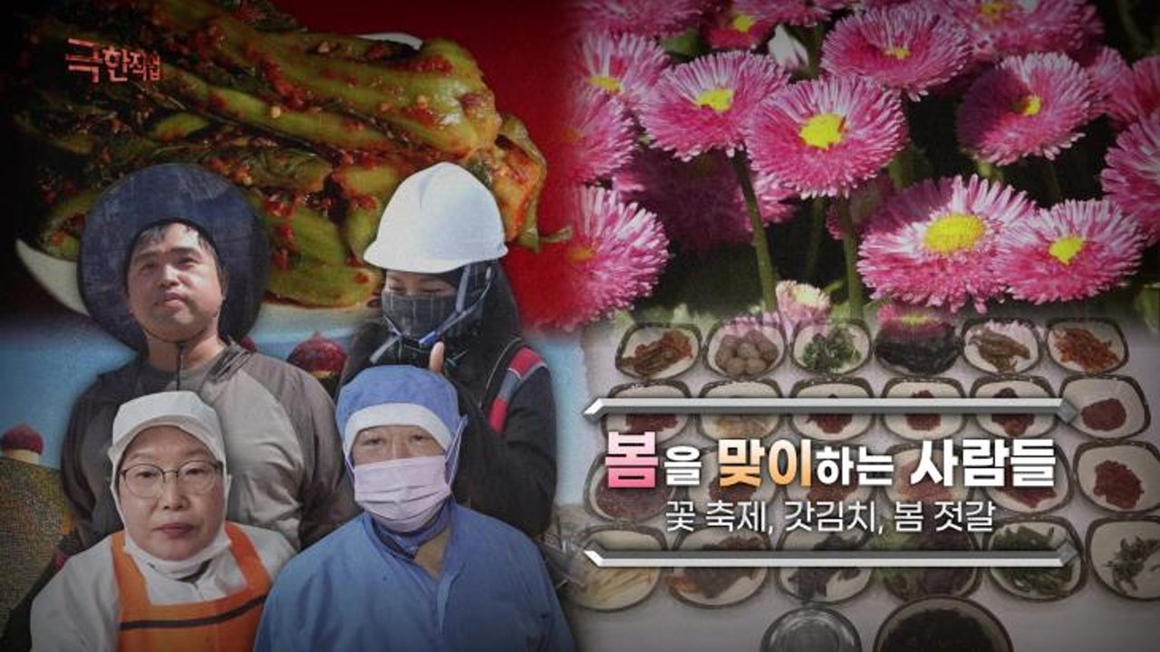 Extreme Job - Season 1 Episode 1176 : Episode 1176