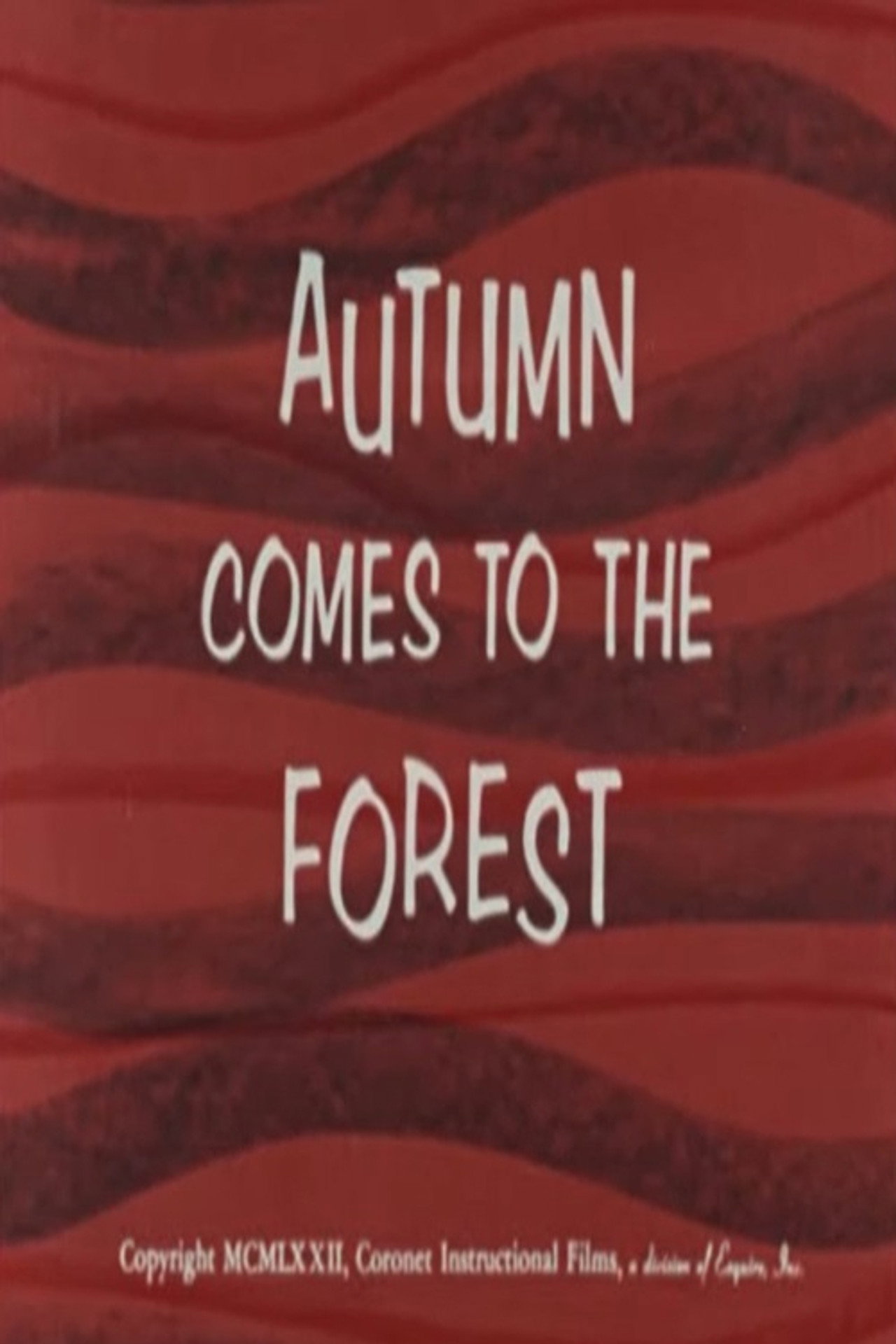 Autumn Comes to the Forest poster
