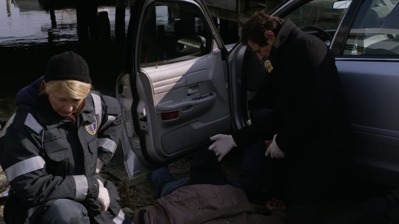 Law & Order: Criminal Intent - Season 9 Episode 3 : Broad Channel