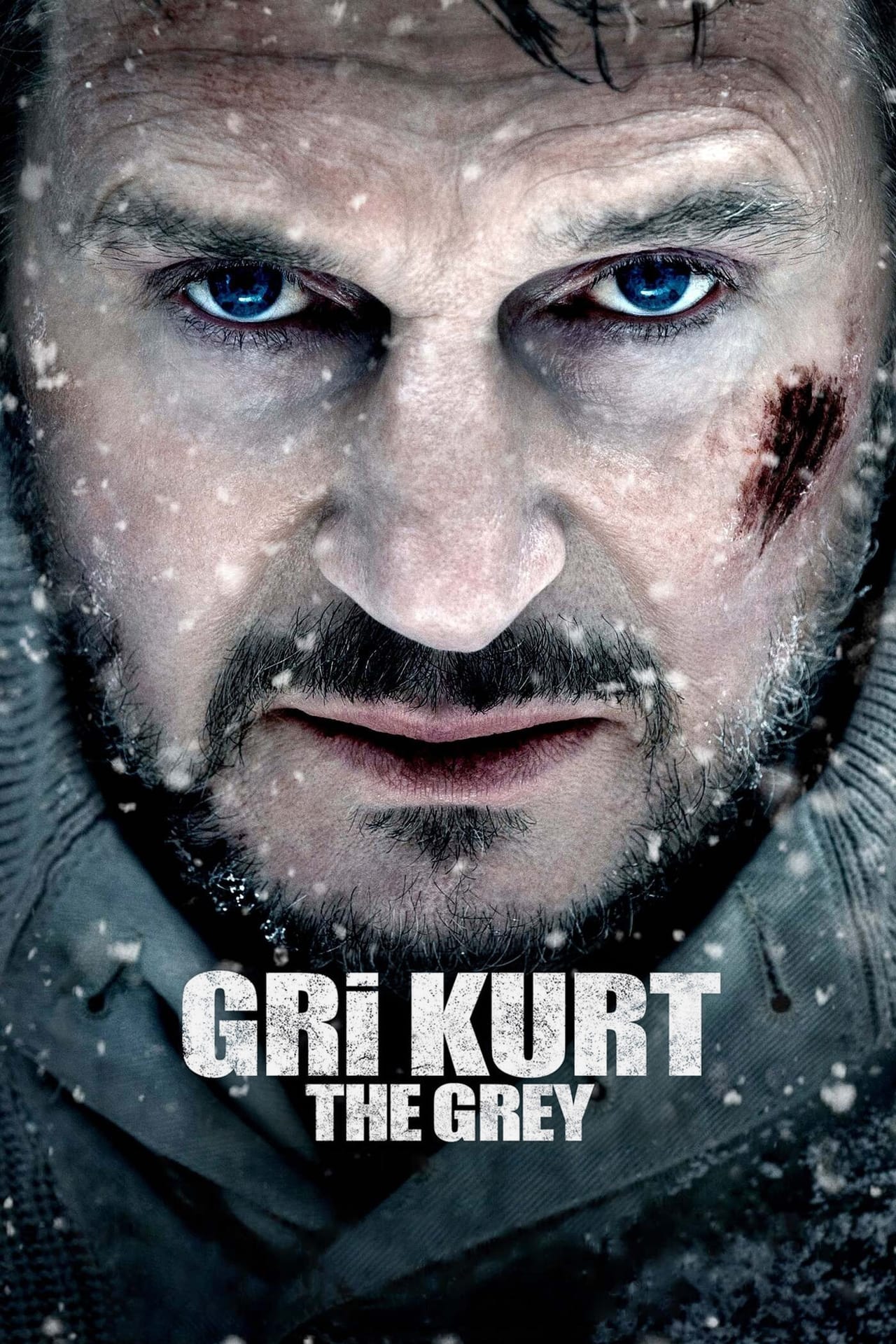 The Grey