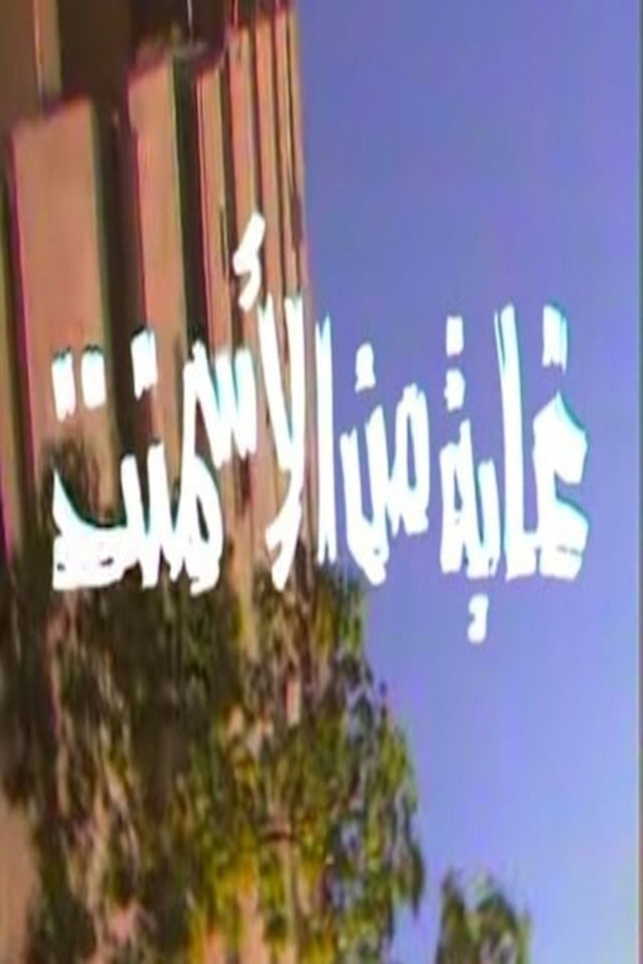 غابة من الأسمنت