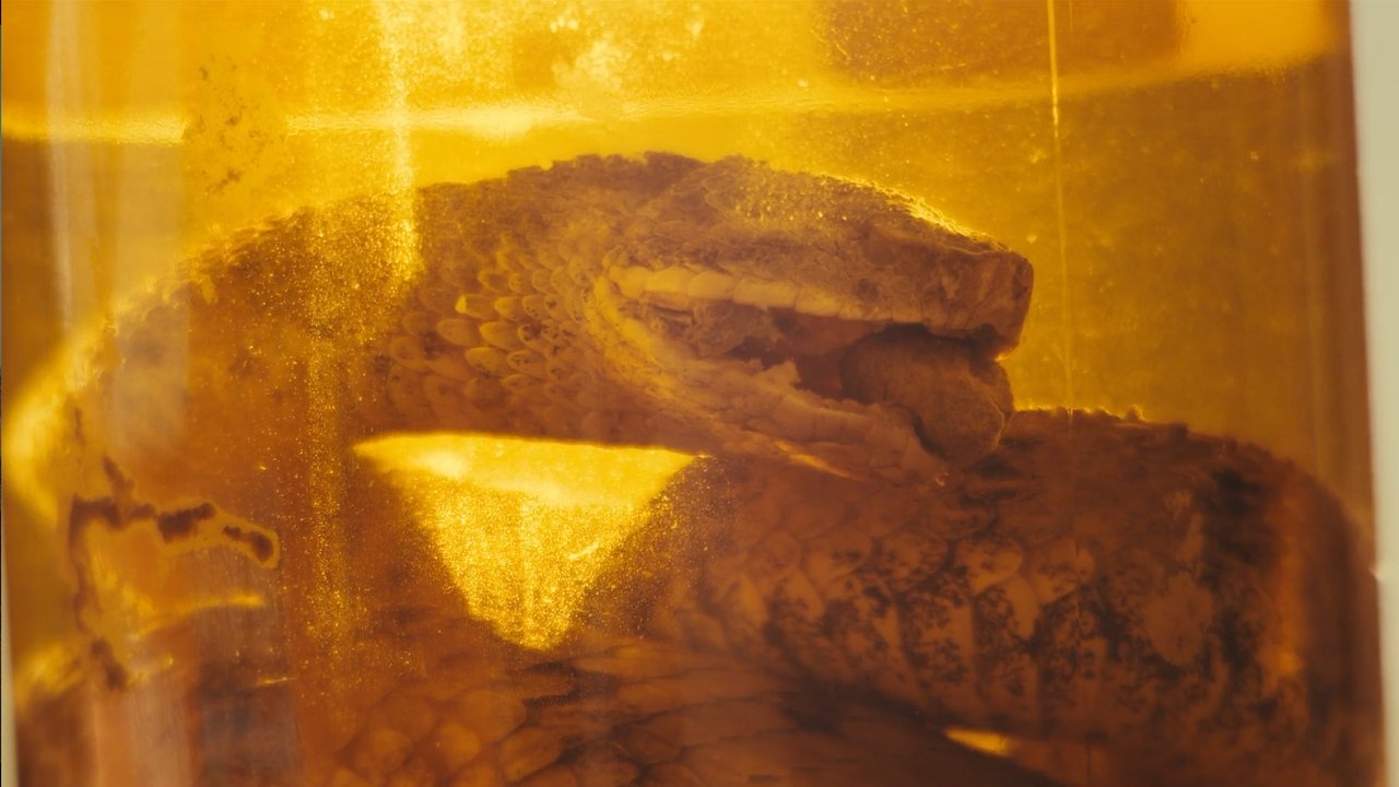 title image