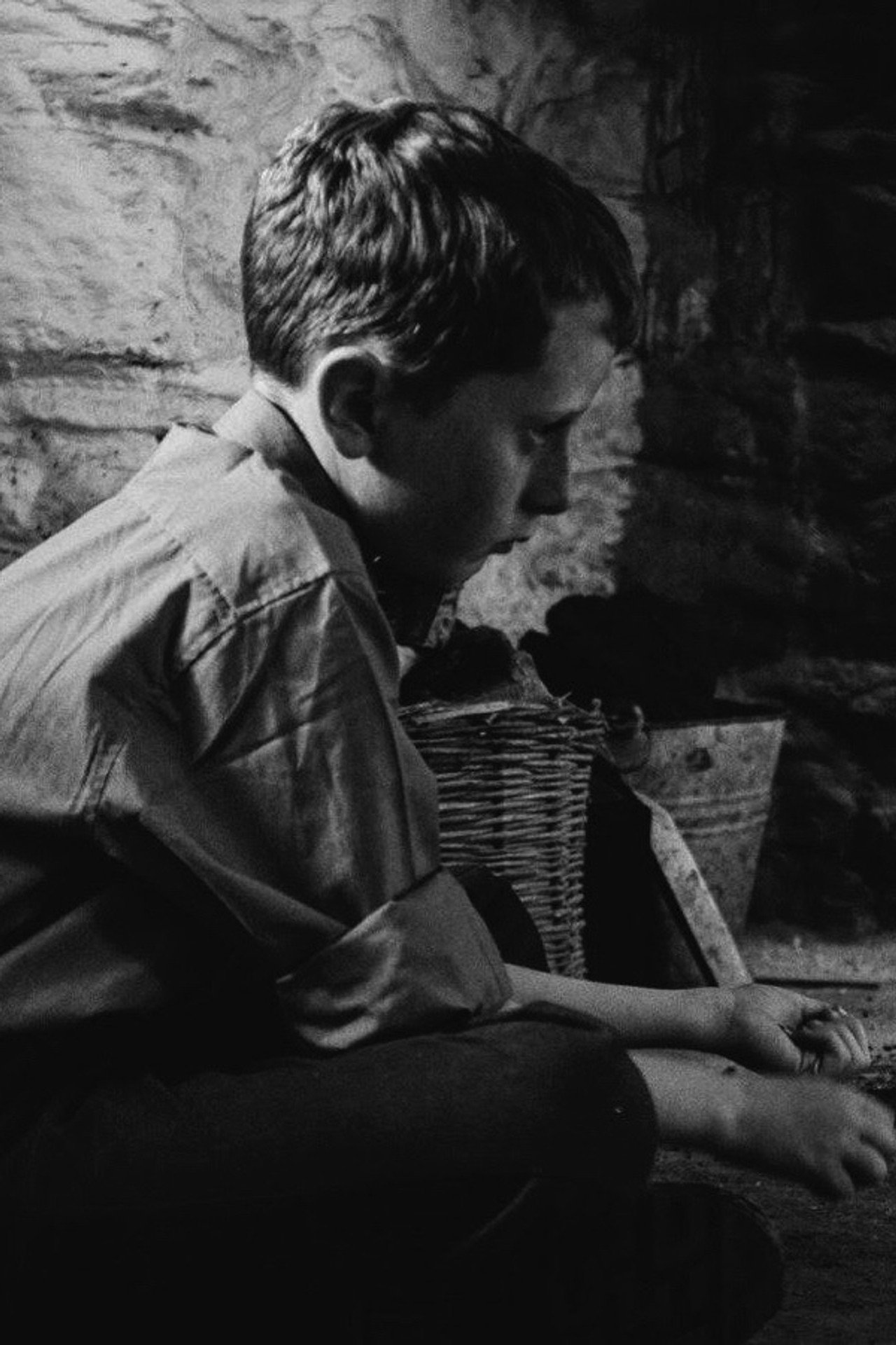 The Welfare of Tomás Ó Hallissy filmaffisch