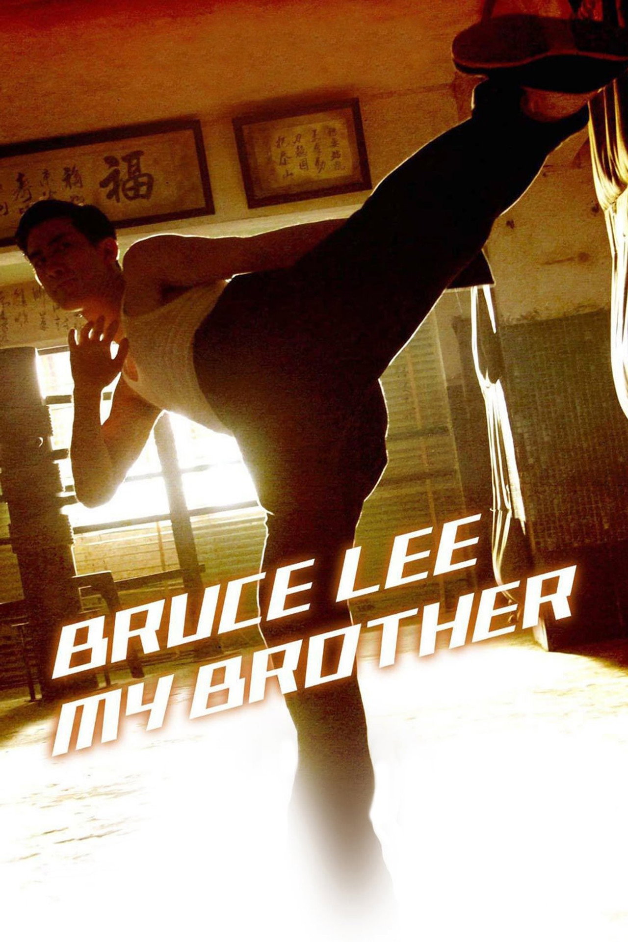 Bruce Lee a bátyám – plakát 6