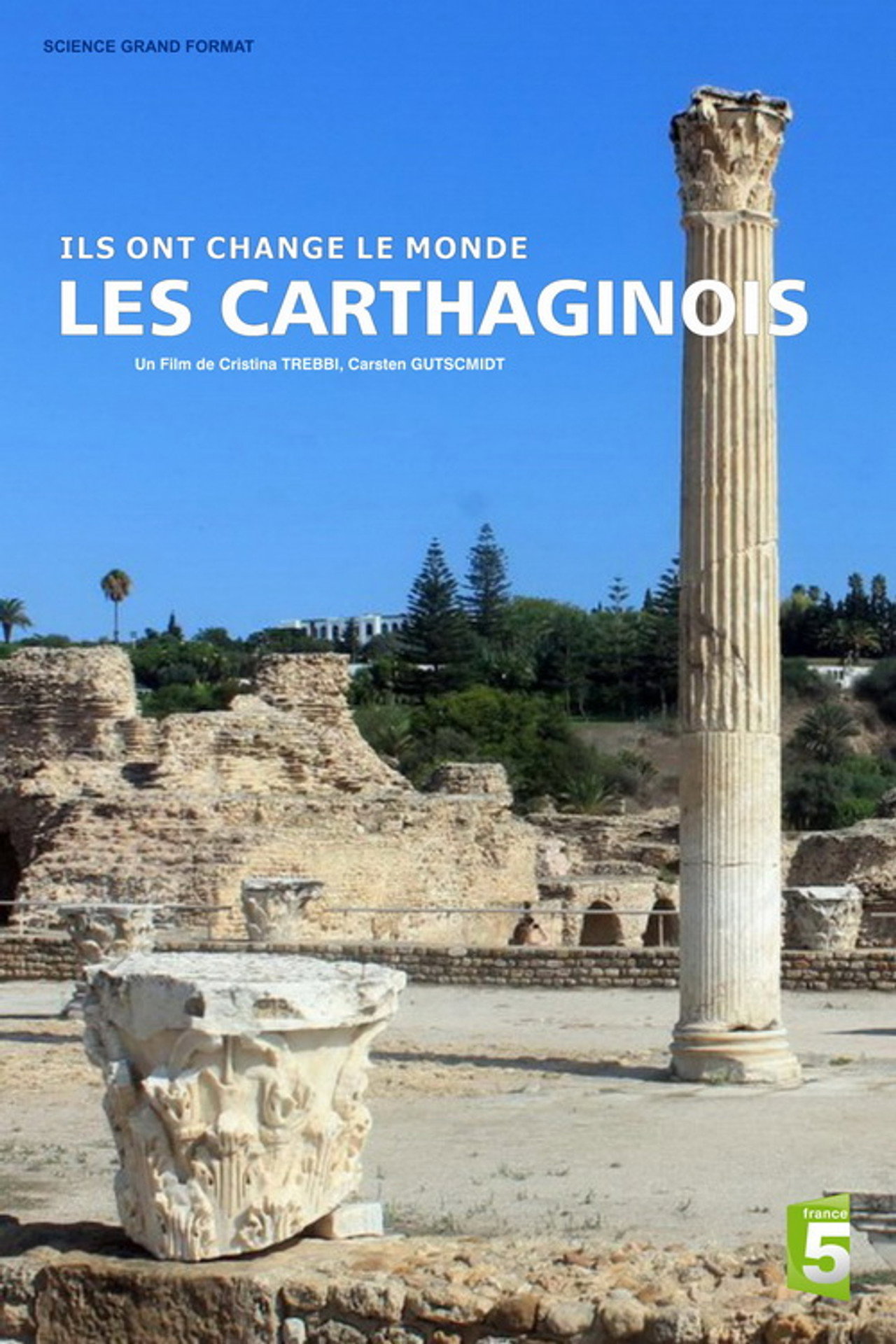 Ils ont changé le monde - Les Carthaginois filmaffisch