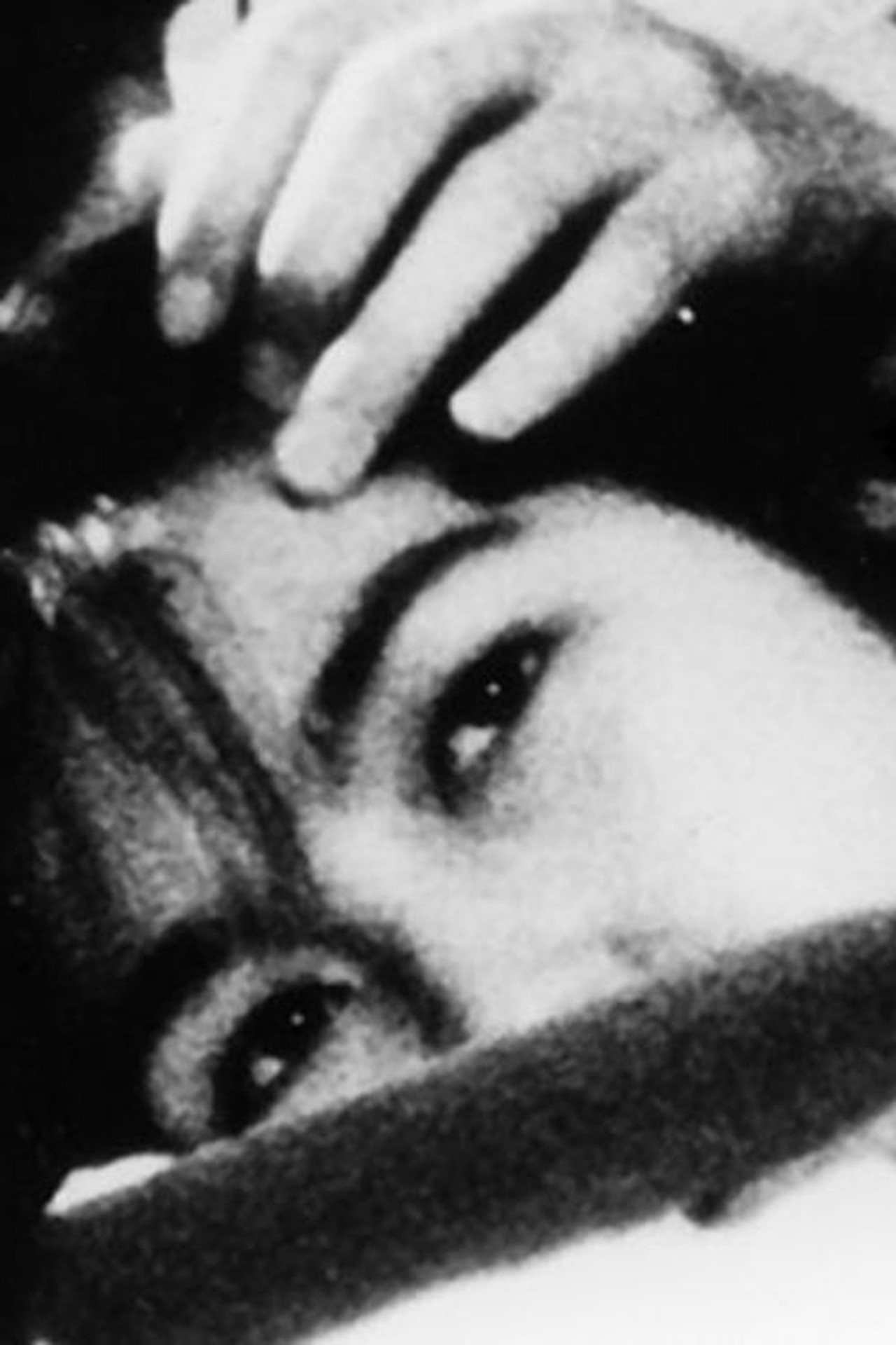 ついのすみか filmaffisch