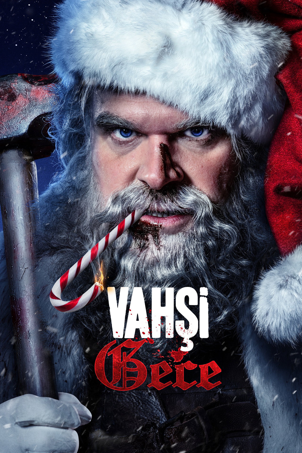 Vahşi Gece Poster