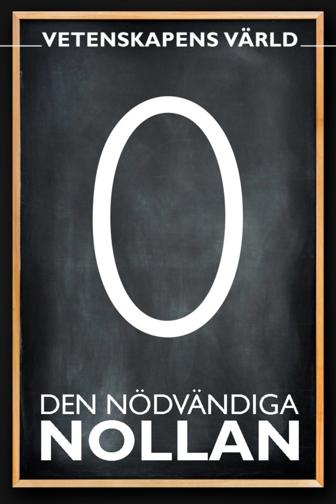 Den nödvändiga nollan filmaffisch